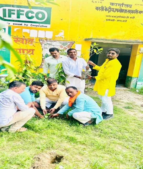Plantation drive