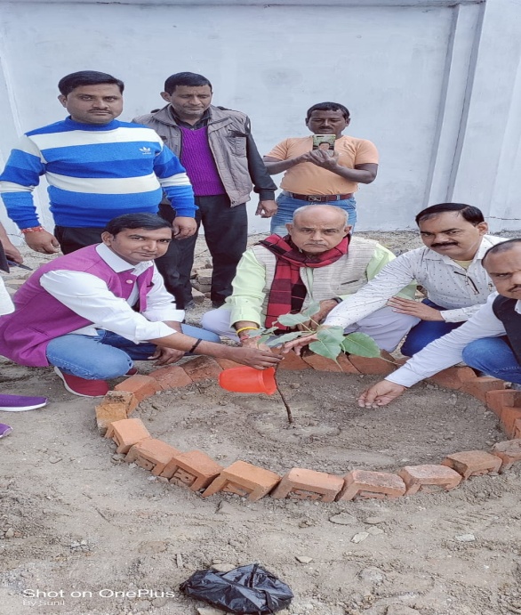 Plantation drive